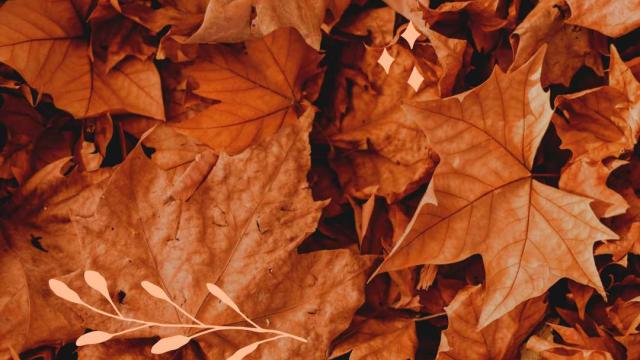 Herfstcover